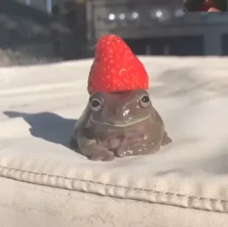 🍓 kikker, aardbei, dier, schattig, amfibie, natuur telegram sticker