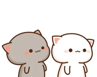 👀 chat, mignon, autocollant, animaux, dessin animé whatsapp sticker