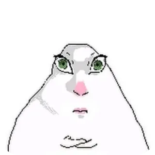 👄 Bingus telegram sticker