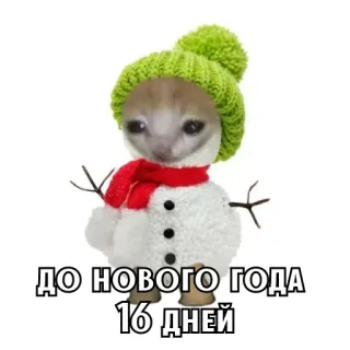 🎄 ДО НОВОГО ГОДА 16 ДНЕЙ bonhomme de neige, chat, nouvel an, hiver, mignon, fête whatsapp sticker