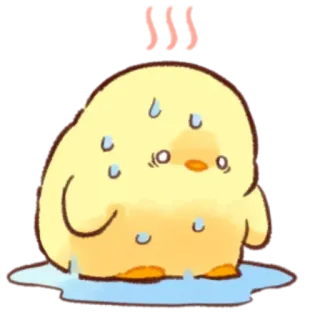 🤩 pájaro, pollo, sudor, mojado, lindo, dibujo animado whatsapp sticker