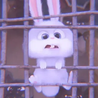 🐰 Snowball The Secret Life of Pets bunny, rabbit, cage, animal, cute, animated whatsapp sticker