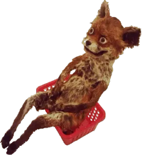 🐱 renard, animal, taxidermie, effrayant, étrange, vintage whatsapp sticker