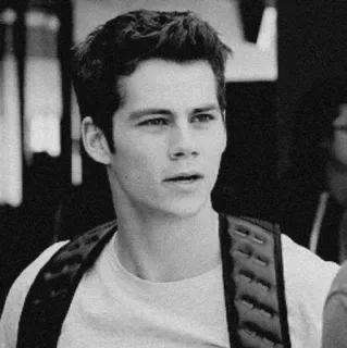 🖇 Dylan O'Brien célébrité, acteur, teen wolf, dylan o'brien, portrait telegram sticker