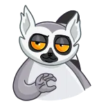 👌 lemur, animal, cartoon, cute, funny, meme, gesture telegram sticker