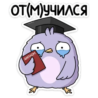 🧑‍🎓 ОТ(М)УЧИЛСЯ выпускной, диплом, праздник, выпускник, образование, студент, академический, поздравления, учеба, обучение whatsapp sticker