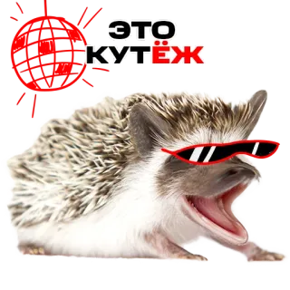 💃 ЭТО КУТЁЖ hedgehog, glasses, party, animal, cute, russian, text, fun telegram sticker