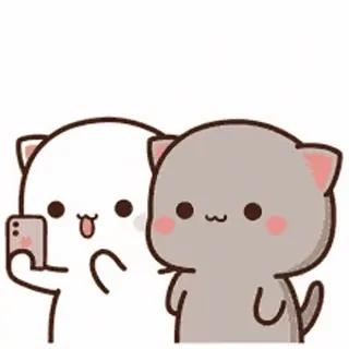 😉 แมว, สัตว์, น่ารัก, คาวาอิ, เซลฟี่, การ์ตูน whatsapp sticker