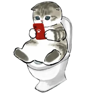 🚽 gato, inodoro, teléfono, lindo, animal, mascota, divertido whatsapp sticker