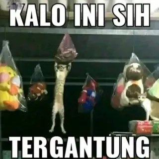 🤓 KALO INI SIH TERGANTUNG telegram sticker