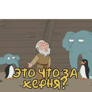 ⁉️ Noah Family Guy ЭТО ЧТО ЗА ХЕРНЯ? Cartoni animati, Divertente, Commedia, Umorismo, Meme, Animazione, Satira telegram sticker