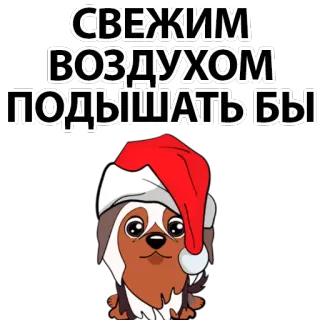 🌊 СВЕЖИМ ВОЗДУХОМ ПОДЫШАТЬ БЫ dog, santa hat, christmas, winter, fresh air, russian telegram sticker