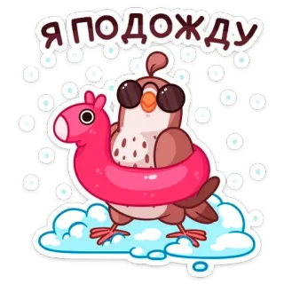 Птичка @stik98 telegram stickers
