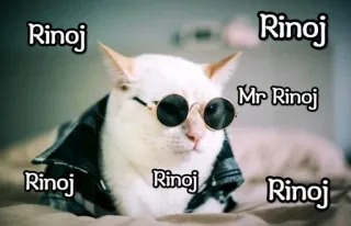 🍀 Rinoj
Mr Rinoj kucing, kacamata hitam, keren, binatang, hewan peliharaan, meme telegram sticker