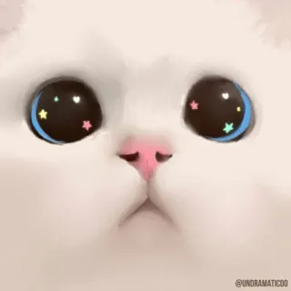 👀 @UNDRAMATIC00 chat, mignon, kawaii, dessin animé, animal, chat blanc whatsapp sticker