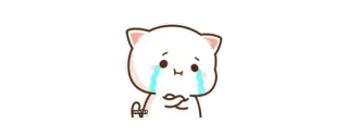 😭 울음, 슬픔, 귀여운, 고양이, 카와이, 이모티콘 telegram sticker