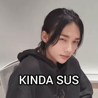 SKZ 2 whatsapp stickers