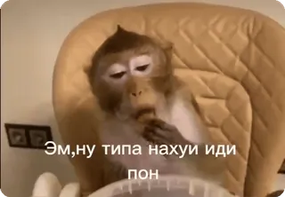 🖕 Эм,ну типа нахуи иди пон macaco, meme, engraçado, animal, ofensivo whatsapp sticker