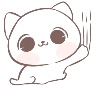 🐱 gato, fofo, kawaii, animal, adesivo, desenho animado whatsapp sticker