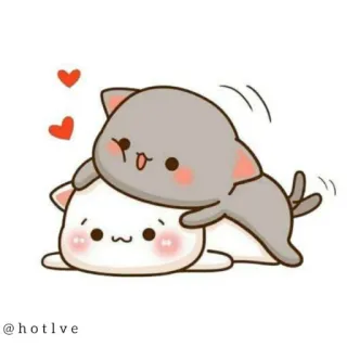 😍 @hotlve cat, cute, animal, sticker, cartoon telegram sticker