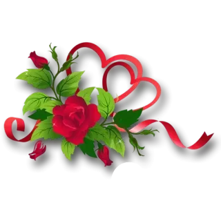 😲 rose, roses, fleur, rouge, saint-valentin, amour, bouquet, floral, cadeau telegram sticker