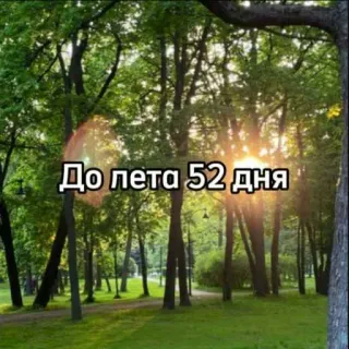 ☀️ До лета 52 дня verano, días, cuenta atrás, naturaleza, parque telegram sticker