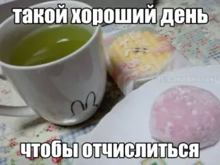🤩 такой хороший день чтобы отчислиться tea, mochi, russian, meme telegram sticker