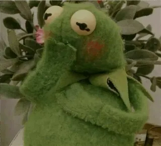😑 Kermit the Frog The Muppets whatsapp sticker
