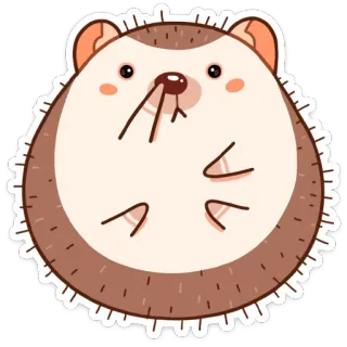 🤤 hedgehog, animal, cute, sticker, cartoon telegram sticker