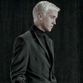 🪐 Draco Malfoy Harry Potter Draco Malfoy, Harry Potter, Personagem, Mago, Estudante, Livro, Filme telegram sticker