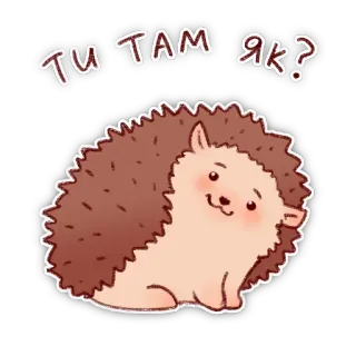 😉 ТУ ТАМ ЯК? ouriço, fofo, animal, ucraniano, pergunta telegram sticker