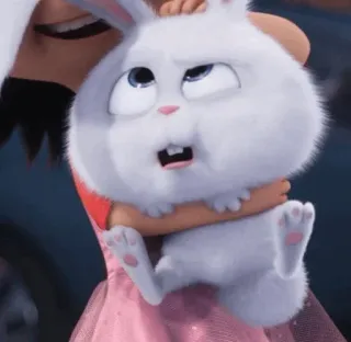 🍓 Snowball The Secret Life of Pets กระต่าย, น่ารัก, สัตว์, สัตว์เลี้ยง, การ์ตูน telegram sticker