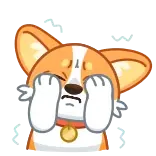 🫣 corgi, cane, triste, spaventato, cartone animato, animale, carino, espressione telegram sticker