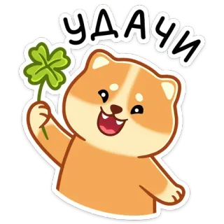 🤞 УДАЧИ chien, chance, trèfle à quatre feuilles, bonne chance, dessin animé, animal, mignon telegram sticker