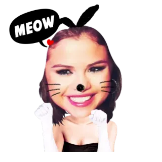 🐱 MEOW gato, miau, animal, fofo, animal de estimação, gatinho, filhote de gato, filtrado, orelhas whatsapp sticker