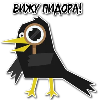 🔍 ВИЖЖУ ПИДОРА! oiseau, loupe, offensant, insulte, recherche, corbeau, dessin animé telegram sticker