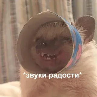 😄 *звуки радости* telegram sticker