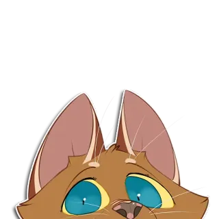 👀 gato, animal, mascota, lindo, dibujo animado, pegatina telegram sticker