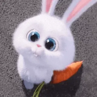 🐰 Snowball The Secret Life of Pets 兔子, 兔兔, 可爱, 动物, 宠物, 卡通, 毛茸茸 telegram sticker