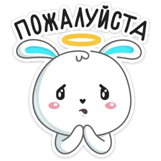 🙏 ПОЖАЛУЙСТА lindo, conejo, ángel, por favor, halo, adorable telegram sticker