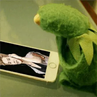 🐸 Kermit Meme, Kermit o sapo, Fantoche, Telefone whatsapp sticker