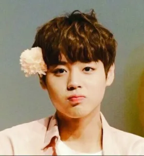 ☹ portrait, person, korean, singer, flower telegram sticker