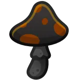 🍄