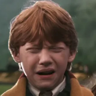 🦁 Ron Weasley Harry Potter ハリーポッター, ロン・ウィーズリー, 泣く, 怒る, 悲しい telegram sticker