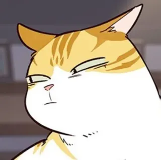 🐈 mèo, động vật, meme, biểu cảm, hài hước, hoạt hình telegram sticker