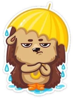 😠 hedgehog, rain, umbrella, cartoon telegram sticker