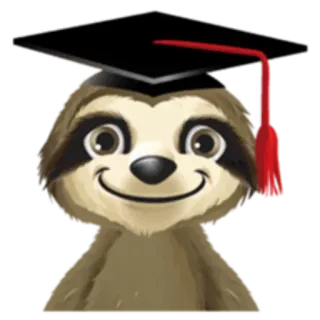 🎓 bicho-preguiça, formatura, capelo, animal, fofo, educação whatsapp sticker