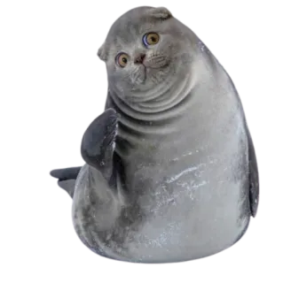 😊 cat, seal, funny, cute, animal, mammal, pet telegram sticker