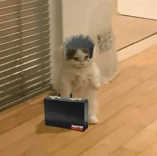 🐈 Hunter x Hunter HUNTER
HUNTER gato, Hunter x Hunter, anime, mangá, pasta, óculos telegram sticker