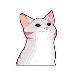 Popping cat @TgEmojis telegram emojis 😼